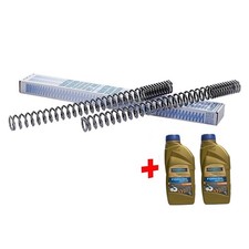 Ein Paar Wirth Gabelfedern mit