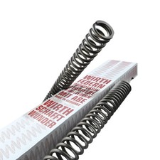 Gabelfedern Motorrad Satz