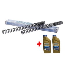 Ein Paar Wirth Gabelfedern mit